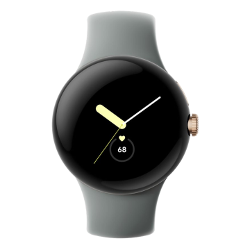 Pixel Watch LTE